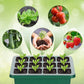 💎60% RABATT! 💎 Groningsbrickor med odlingsljus – Fuktighetskontroll, transparent och fullspektrumljus 🌱💡