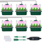 💎60% RABATT! 💎 Groningsbrickor med odlingsljus – Fuktighetskontroll, transparent och fullspektrumljus 🌱💡