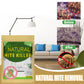 🌿 50% RABATT NU! Naturlig kvalsterkontroll Sachet – växtbaserat, långvarigt skydd & säkert för barn och husdjur – perfekt för garderober, sängkläder och soffor 🛏️✨